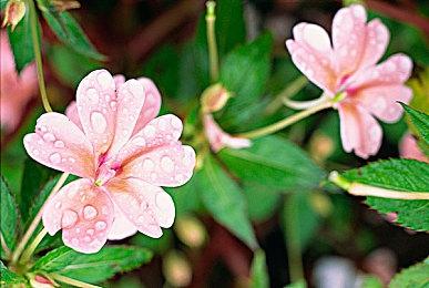 机甲动作游戏《战魔机甲》登陆国行Switch 定价199元